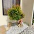 3 Bedroom House for sale in Mandaue City, Central Visayas, Mandaue City