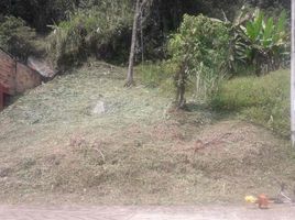  Terreno (Parcela) en venta en Sasaima, Cundinamarca, Sasaima