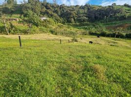  Grundstück zu verkaufen in El Santuario, Antioquia, El Santuario