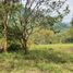  Land for sale in Santa Rosa De Cabal, Risaralda, Santa Rosa De Cabal