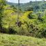  Land for sale in Santa Rosa De Cabal, Risaralda, Santa Rosa De Cabal