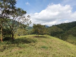  Terreno (Parcela) en venta en Santa Rosa De Cabal, Risaralda, Santa Rosa De Cabal