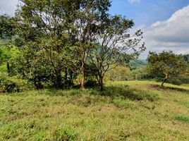  Land for sale in Santa Rosa De Cabal, Risaralda, Santa Rosa De Cabal