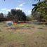  Land for sale in Indang, Calabarzon, Indang