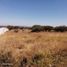  Terreno (Parcela) en venta en Pedro Escobedo, Querétaro, Pedro Escobedo