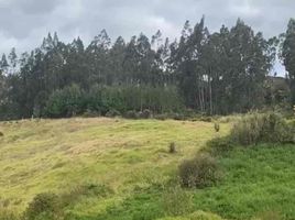  Land for sale in Azuay, Cuenca, Cuenca, Azuay