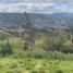  Land for sale in Azuay, Cuenca, Cuenca, Azuay