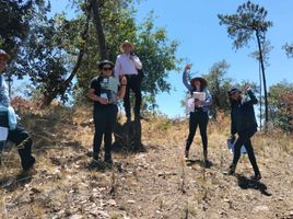 Grundstück zu verkaufen in Tapalpa, Jalisco, Tapalpa