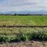  Terreno (Parcela) en venta en Maipo, Santiago, Buin, Maipo