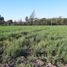  Terreno (Parcela) en venta en Maipo, Santiago, Buin, Maipo