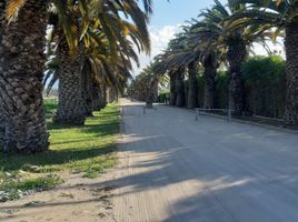  Terreno (Parcela) en venta en Maipo, Santiago, Buin, Maipo