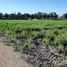  Terreno (Parcela) en venta en Maipo, Santiago, Buin, Maipo