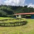 7 Habitación Casa en venta en Pereira, Risaralda, Pereira