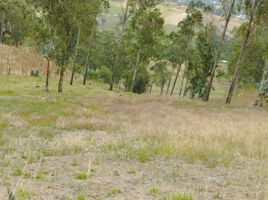  Terrain for sale in Bolivar, Guaranda, Guaranda, Bolivar