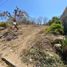  Land for sale in Compostela, Nayarit, Compostela
