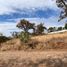  Terreno (Parcela) en venta en Charo, Michoacán, Charo