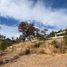  Terreno (Parcela) en venta en Charo, Michoacán, Charo