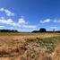  Terreno (Parcela) en venta en Los Lagos, Frutillar, Llanquihue, Los Lagos