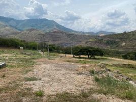  Terreno (Parcela) en venta en Palmira, Valle Del Cauca, Palmira