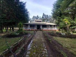  Casa en venta en Cayambe, Pichincha, Cangahua, Cayambe