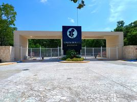  Grundstück zu verkaufen in Cozumel, Quintana Roo, Cozumel