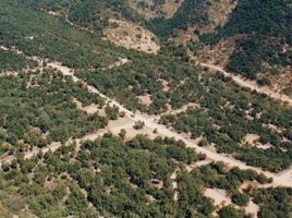  Terreno (Parcela) en venta en Maipo, Santiago, Paine, Maipo