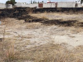  Terreno (Parcela) en venta en Xaltocan, Tlaxcala, Xaltocan, Tlaxcala