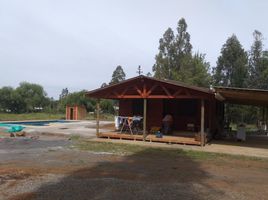  Land for sale in Chile, Los Angeles, Biobío, Biobío, Chile