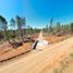  Land for sale in Chile, Parral, Linares, Maule, Chile