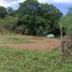  Land for sale in Pililla, Rizal, Pililla