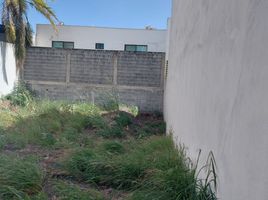  Grundstück zu verkaufen in Monterrey, Nuevo Leon, Monterrey