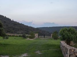 在Ocampo, Guanajuato出售的 土地, Ocampo