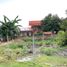 Terrain à vendre à Lapu-Lapu City, Central Visayas, Lapu-Lapu City