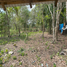 Terrain à vendre à Othon P Blanco, Quintana Roo, Othon P Blanco