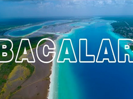 Terrain à vendre à Othon P Blanco, Quintana Roo, Othon P Blanco