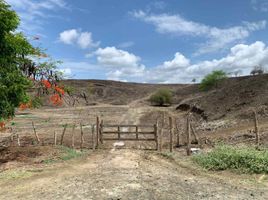  Land for sale in San Vicente, Manabi, San Vicente, San Vicente