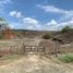 Land for sale in San Vicente Manabi, San Vicente, San Vicente