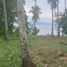  Land for sale in Island Garden Samal City, Davao, Island Garden Samal City, Davao del Norte, Davao