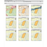  Land for sale in Cumbaya, Pichincha, Cumbaya, Quito, Pichincha