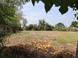  Land for sale in Villasis, Pangasinan, Villasis