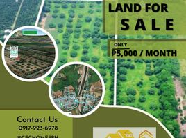  Land for sale in Capas, Tarlac, Capas