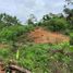  Land for sale in Muisne, Esmeraldas, Muisne, Muisne