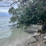  Terreno (Parcela) en venta en San Juan, Calabarzon, San Juan, Batangas