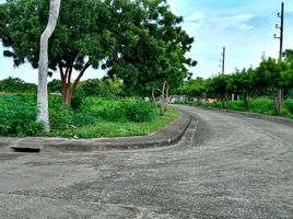  Land for sale in Crimson Beach side, Lapu-Lapu City, Lapu-Lapu City