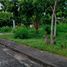  Land for sale in Crimson Beach side, Lapu-Lapu City, Lapu-Lapu City