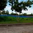  Land for sale in Crimson Beach side, Lapu-Lapu City, Lapu-Lapu City