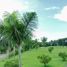 3 Habitación Casa en venta en Tagaytay City, Calabarzon, Tagaytay City, Cavite