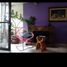 3 Schlafzimmer Haus zu verkaufen in Othon P Blanco, Quintana Roo, Othon P Blanco