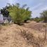  Terreno (Parcela) en venta en Jocotepec, Jalisco, Jocotepec