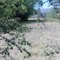  Terreno (Parcela) en venta en Jocotepec, Jalisco, Jocotepec